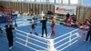 Турнир по Муай Тай Трансляция спорта